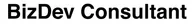 BizDev Consultant のロゴ